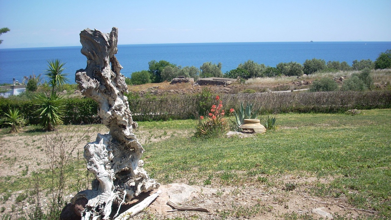 Photo of Outdoor in Agios Georgios