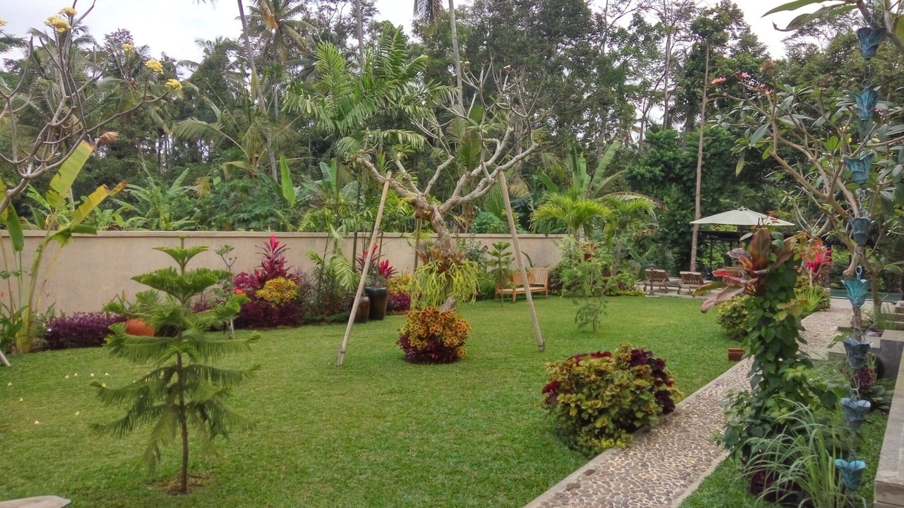 Photo of Outdoor in Tampaksiring