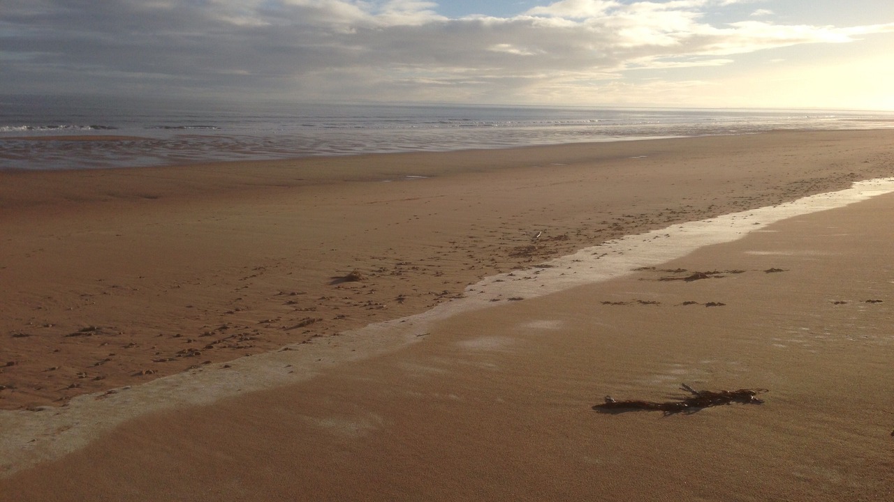 Photo of Others in Brora