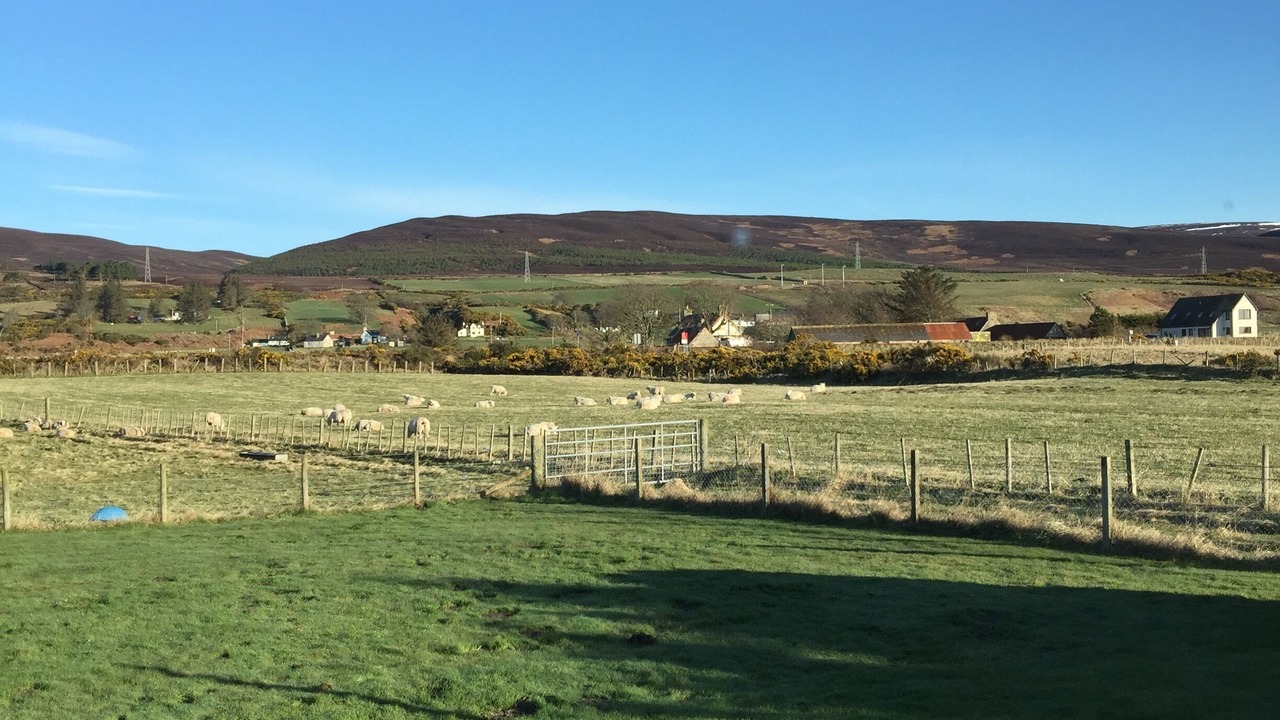 Photo of Others in Brora