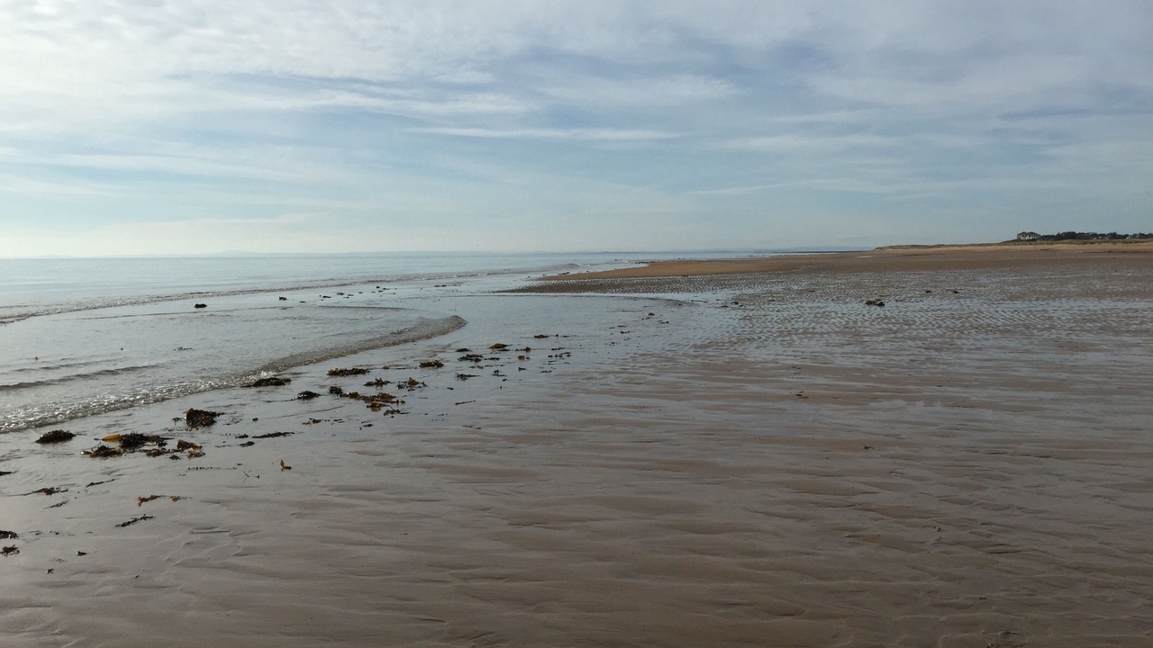 Photo of Others in Brora