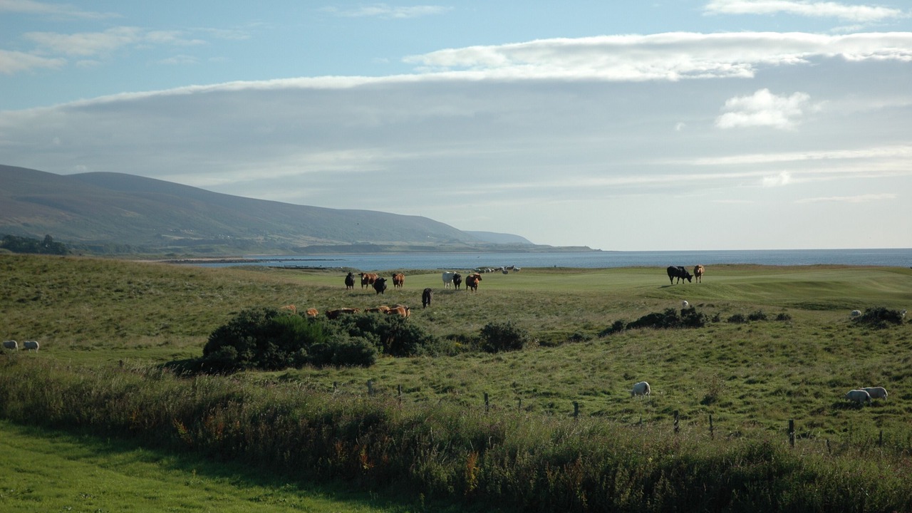 Photo of Outdoor in Brora