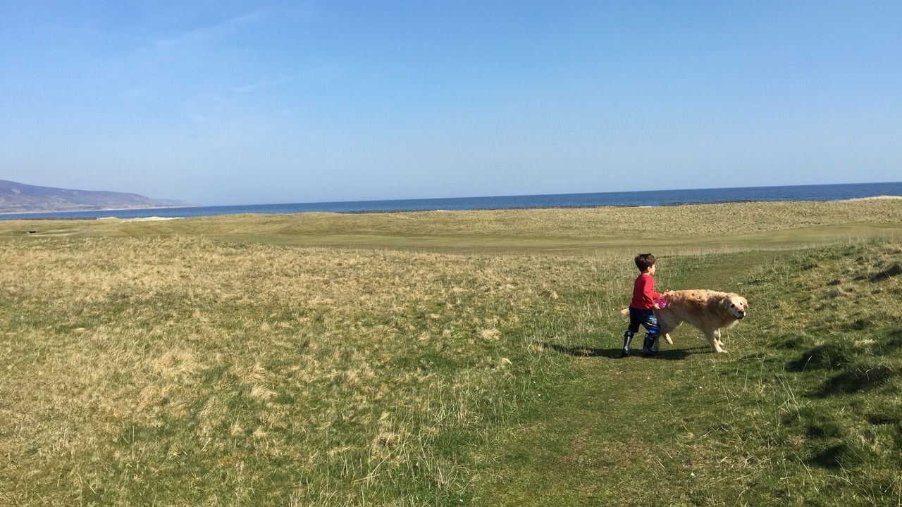 Photo of Others in Brora