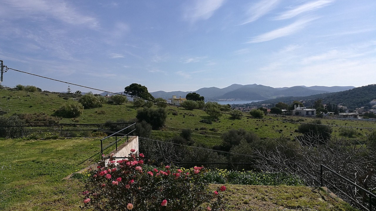 Photo of Others in Anavyssos