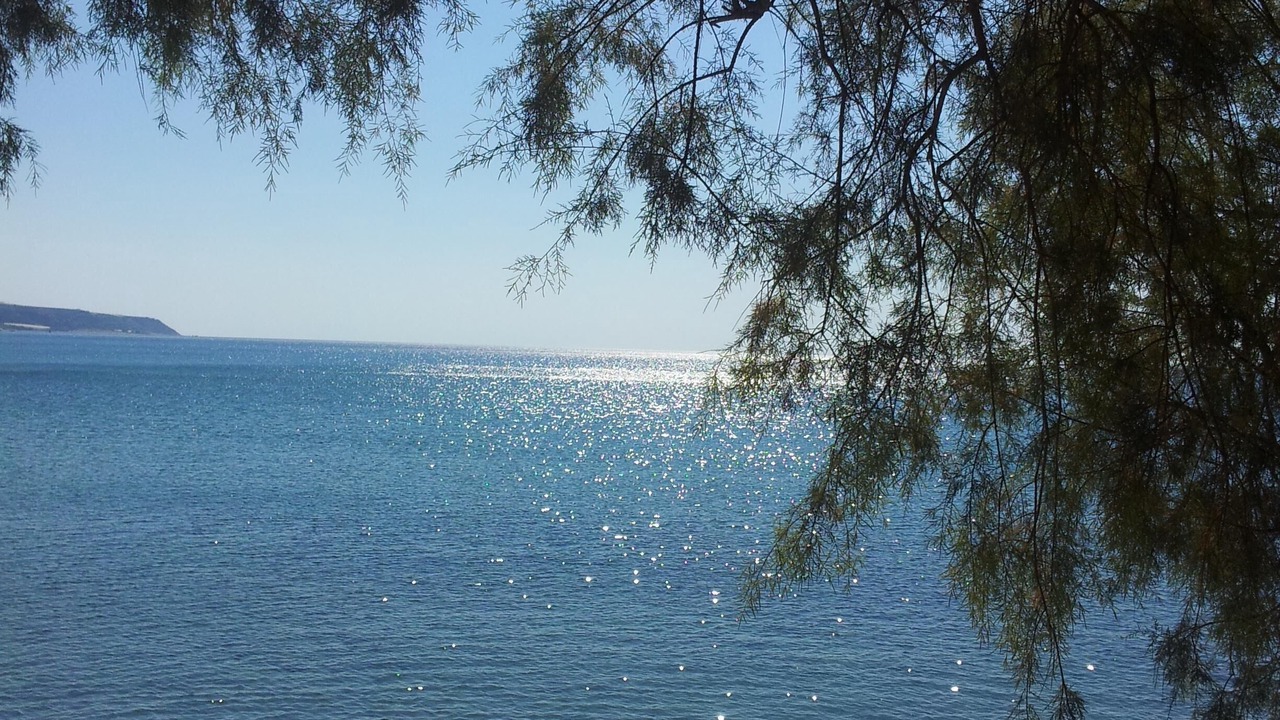 Photo of Others in Kastri