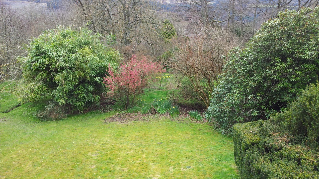 Photo of Others in Aberfeldy