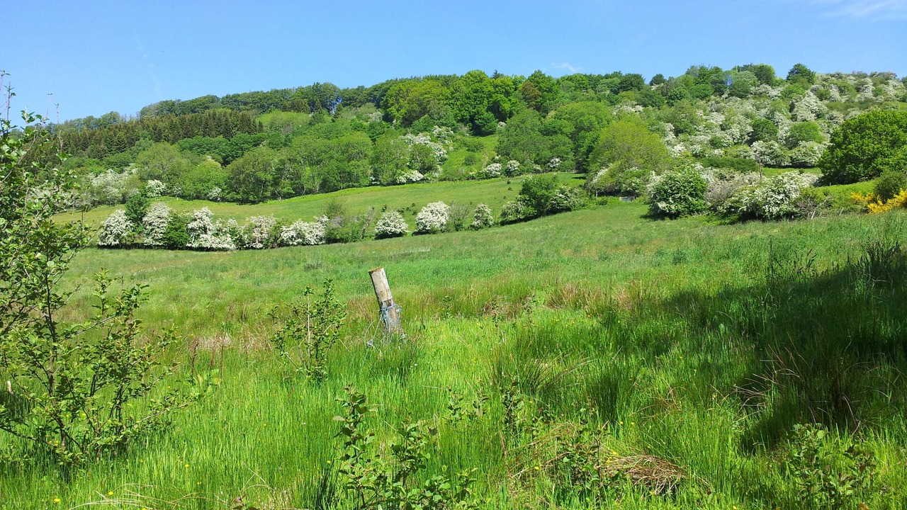 Photo of Others in Aberfeldy