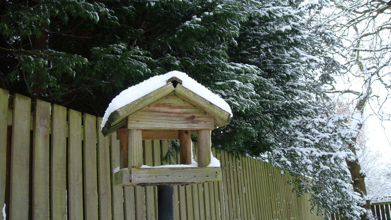Photo of Outdoor in Cramond Bridge