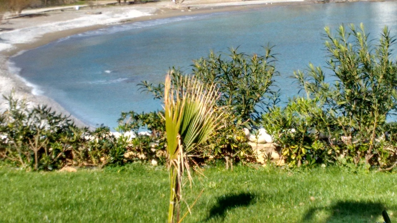 Photo of Others in Pefki
