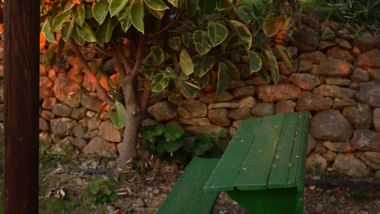 Photo of Others in Kiparissia