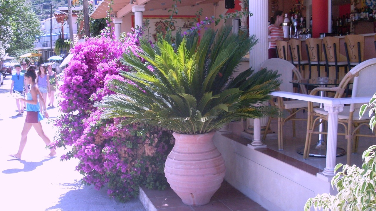 Photo of Outdoor in Kaligata