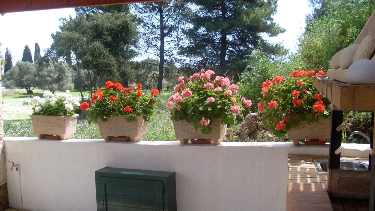 Photo of Outdoor in Kaligata