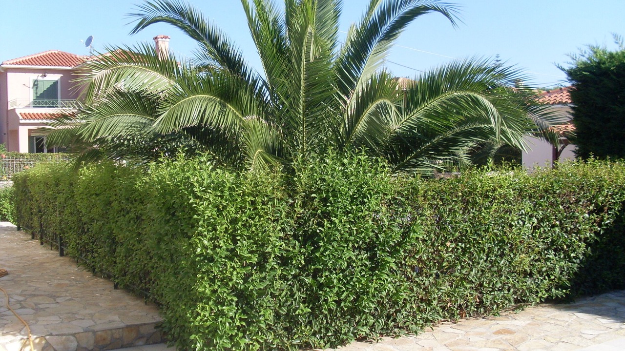 Photo of Outdoor in Kaligata