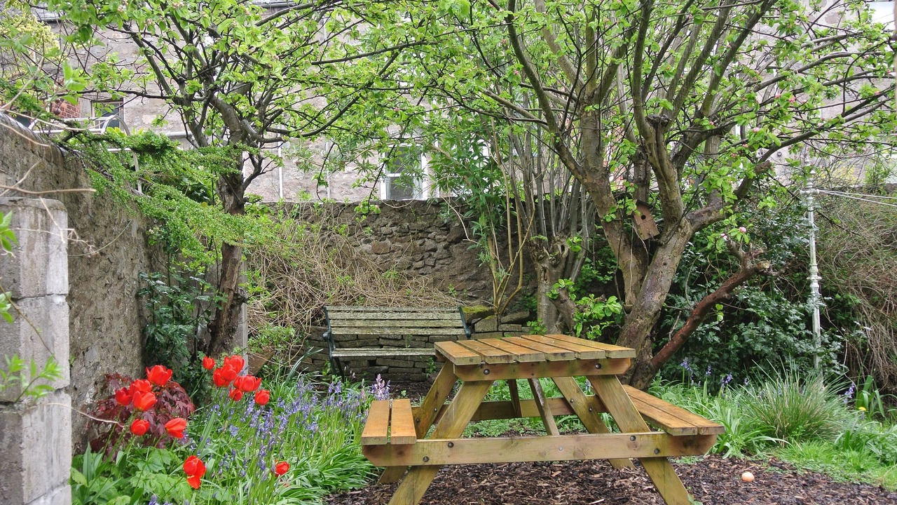 Photo of Outdoor in Central Aberdeen