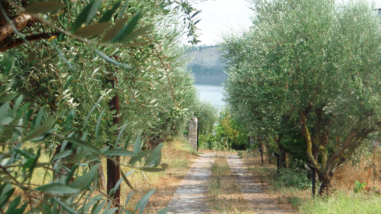 Photo of Outdoor in Pylos-Nestoras