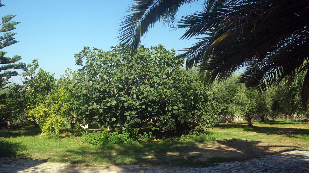 Photo of Outdoor in Pylos-Nestoras