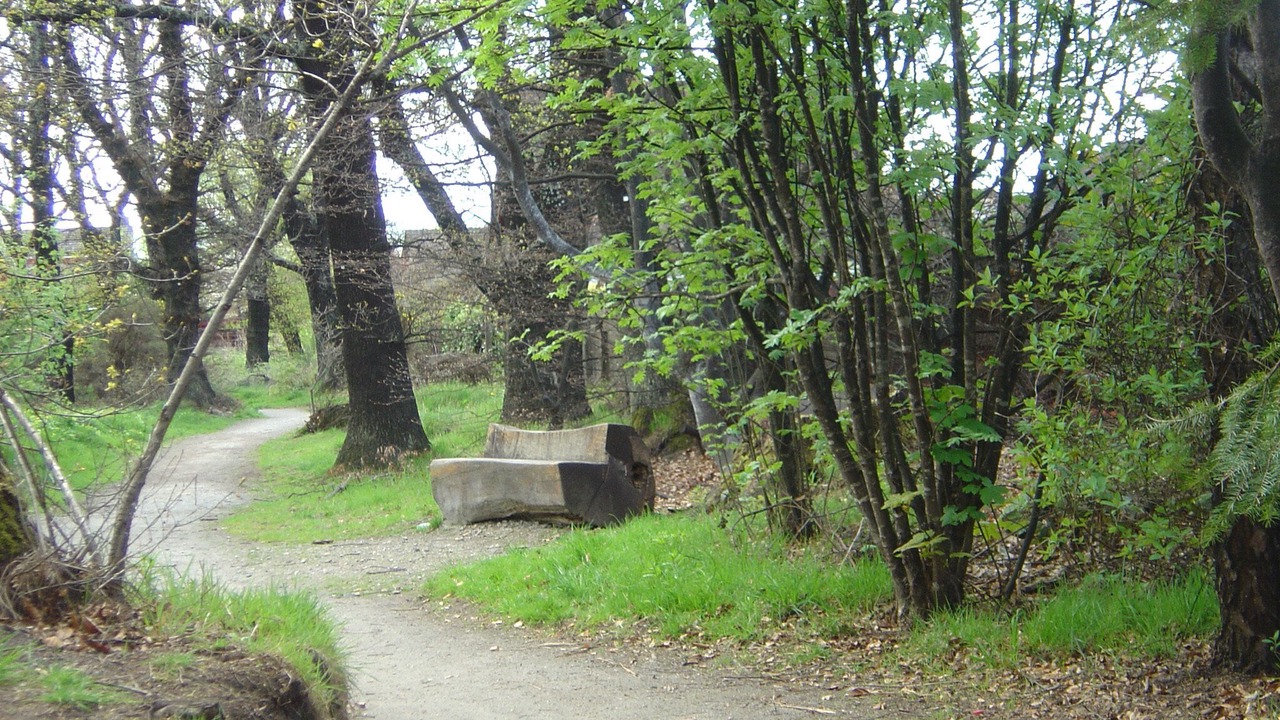 Photo of Others in Balintraid