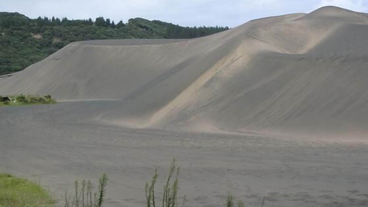 Photo of Outdoor in Muriwai