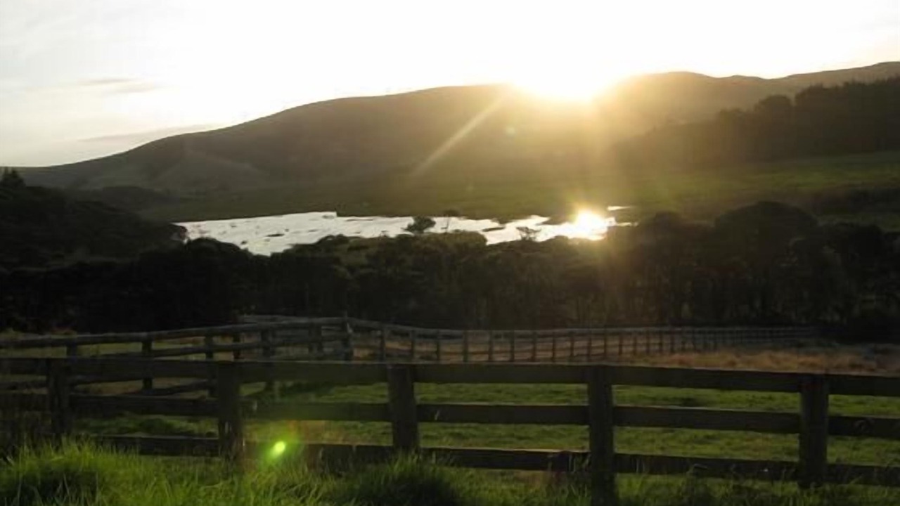 Photo of Others in Muriwai