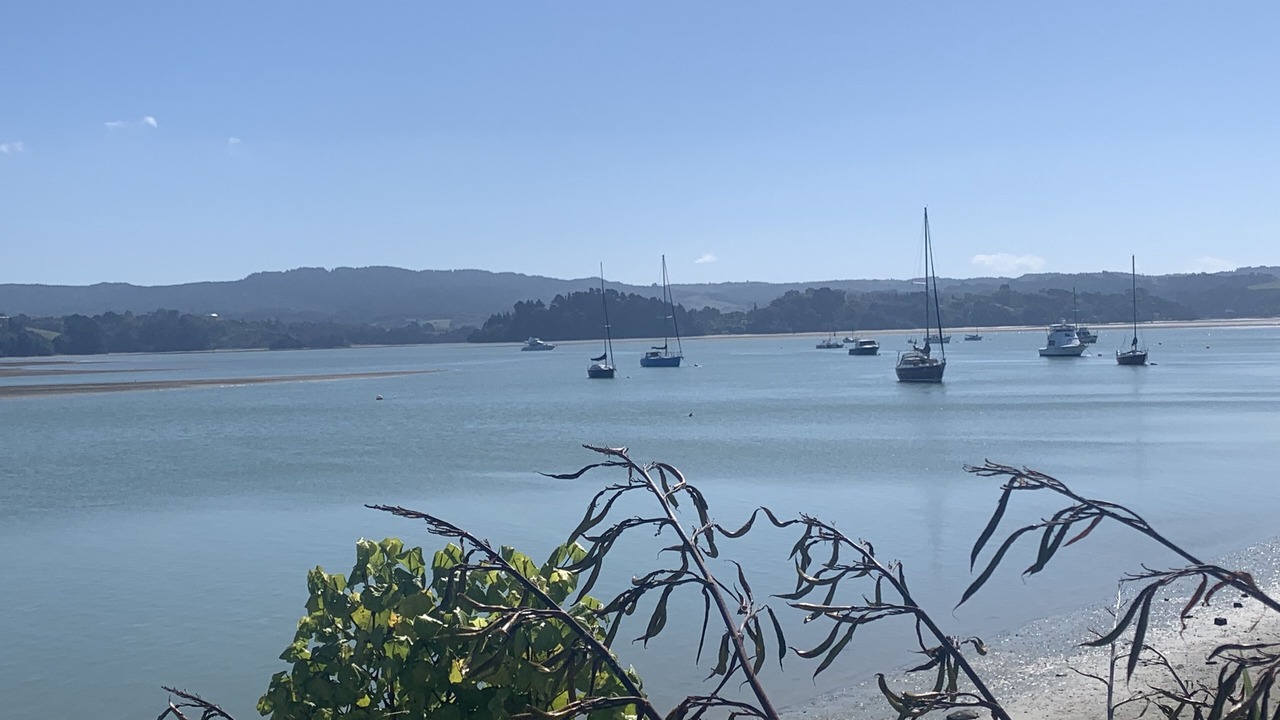 Photo of Others in Ohope