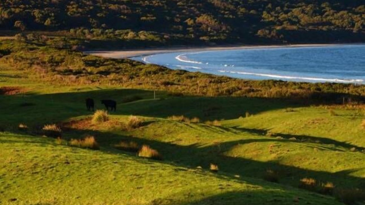 Photo of Outdoor in South Bruny