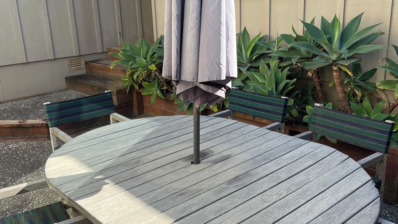 Photo of Outdoor in Waikanae