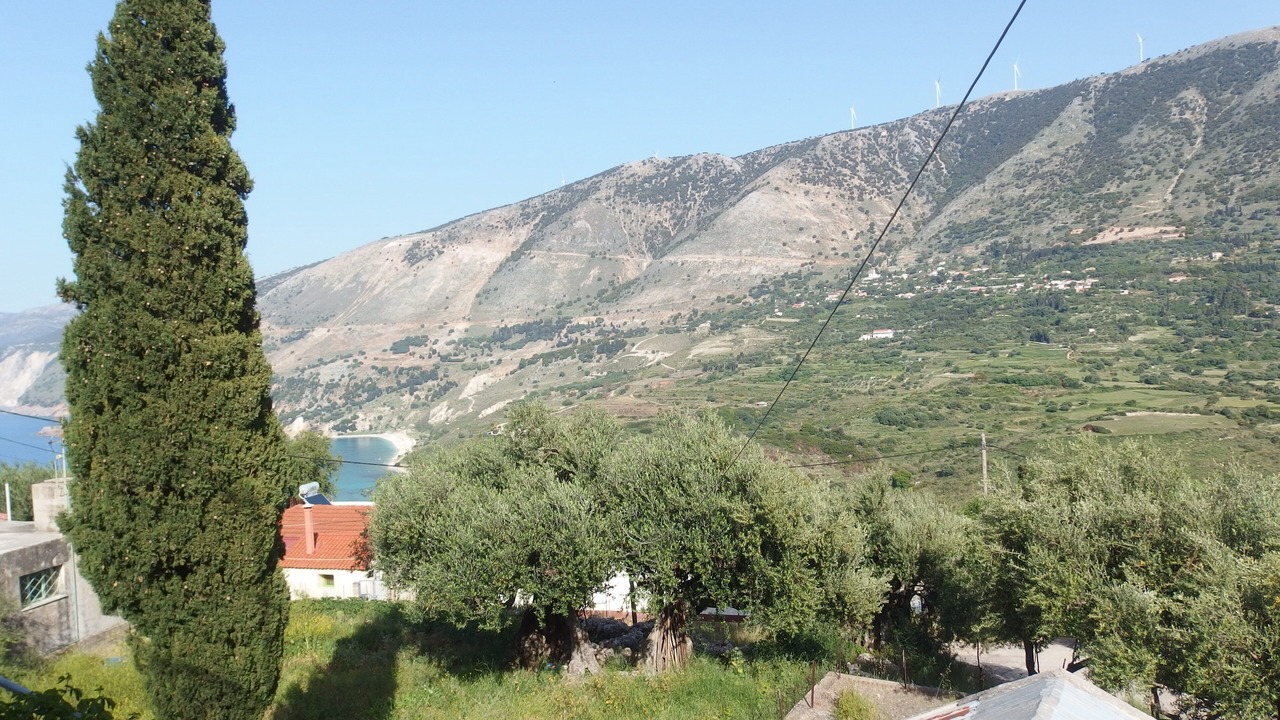 Photo of Others in Zola