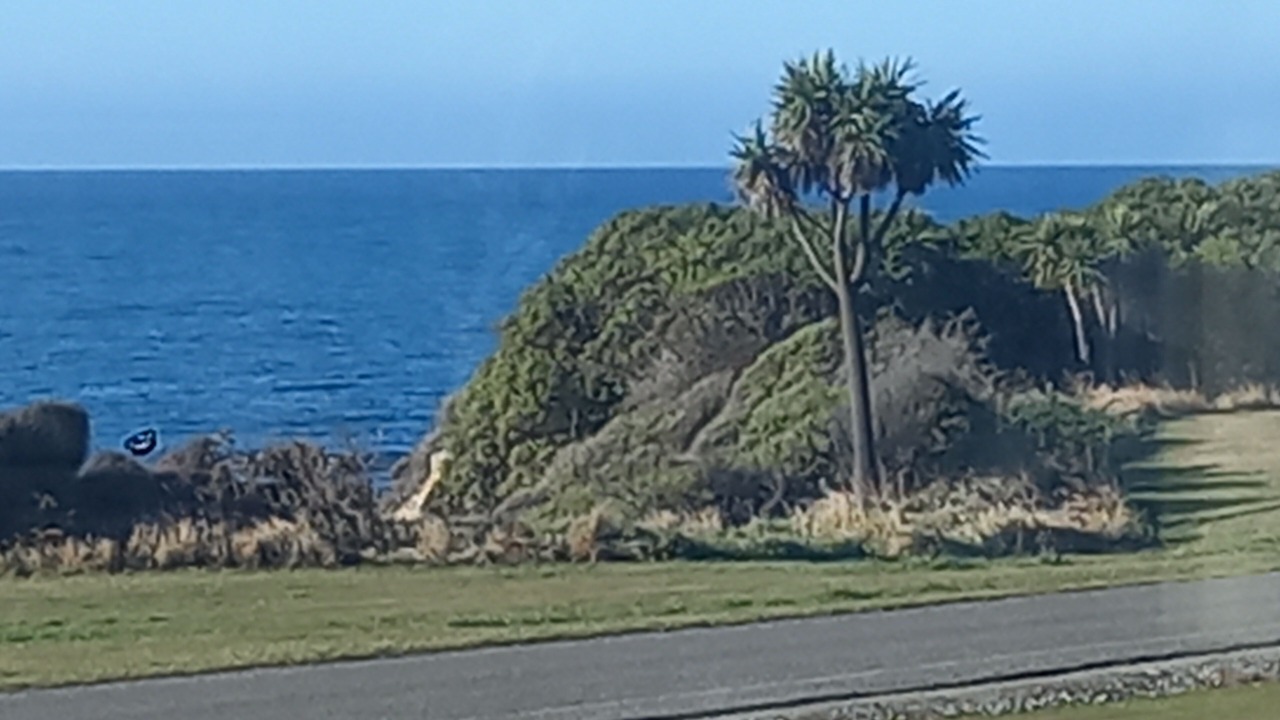 Photo of Others in Kakanui