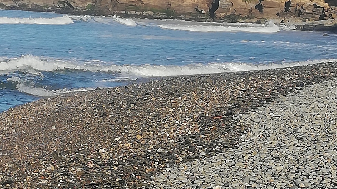 Photo of Others in Kakanui