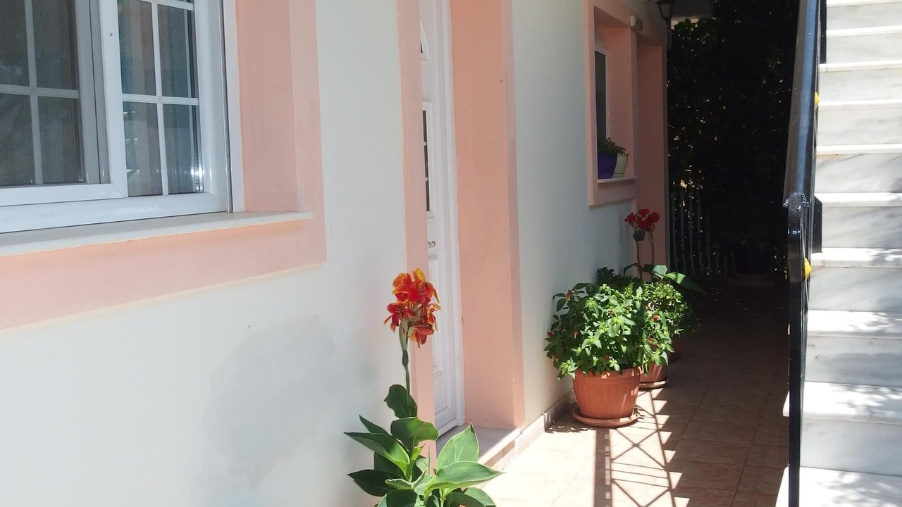 Photo of Outdoor in Zola