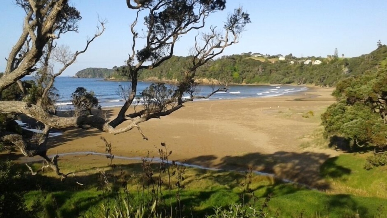 Photo of Others in Matapouri