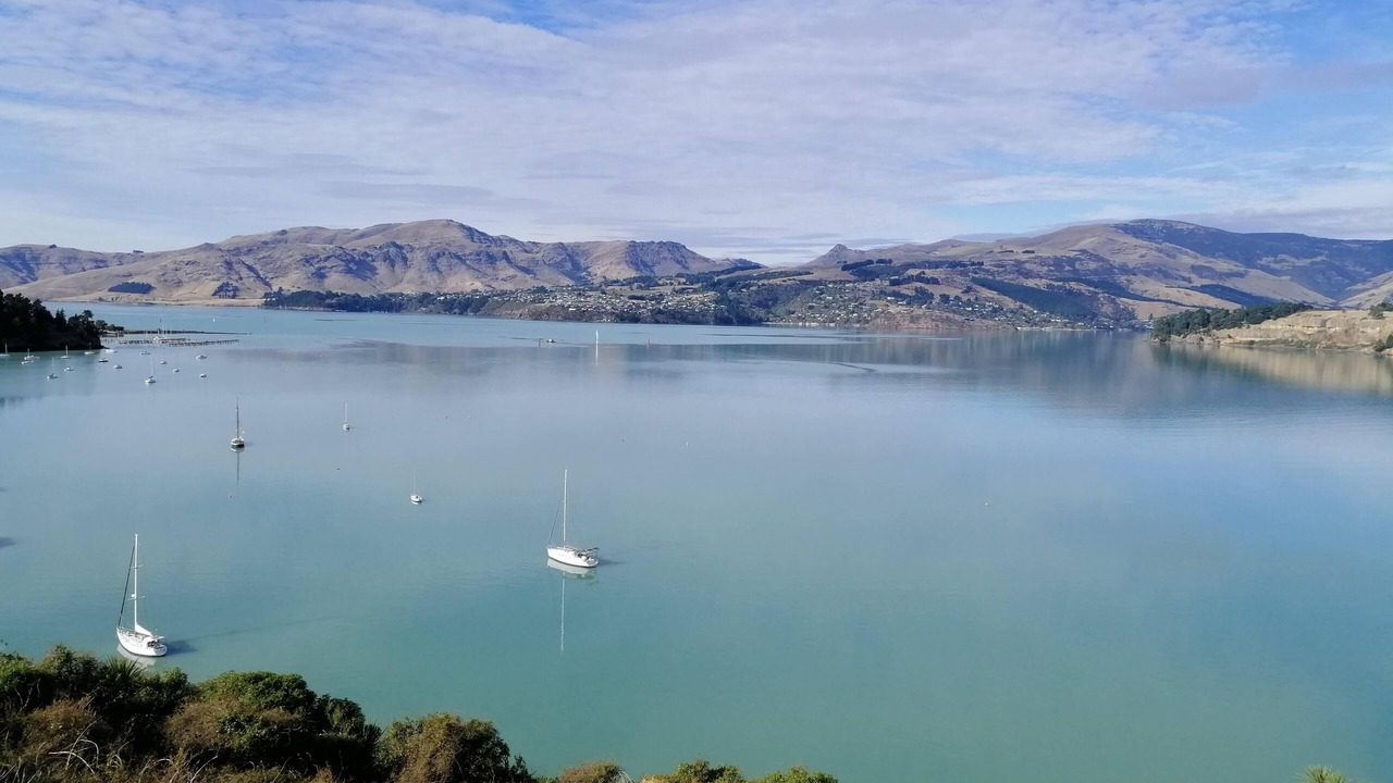 Photo of Others in Christchurch District