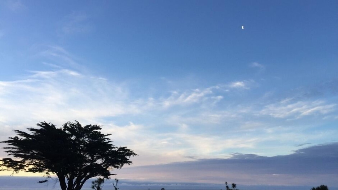 Photo of Others in Cape Foulwind