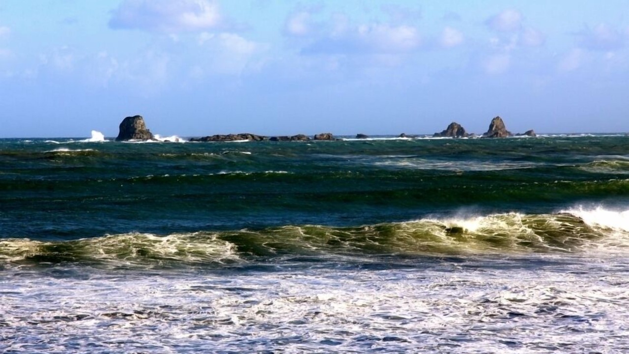 Photo of Others in Cape Foulwind