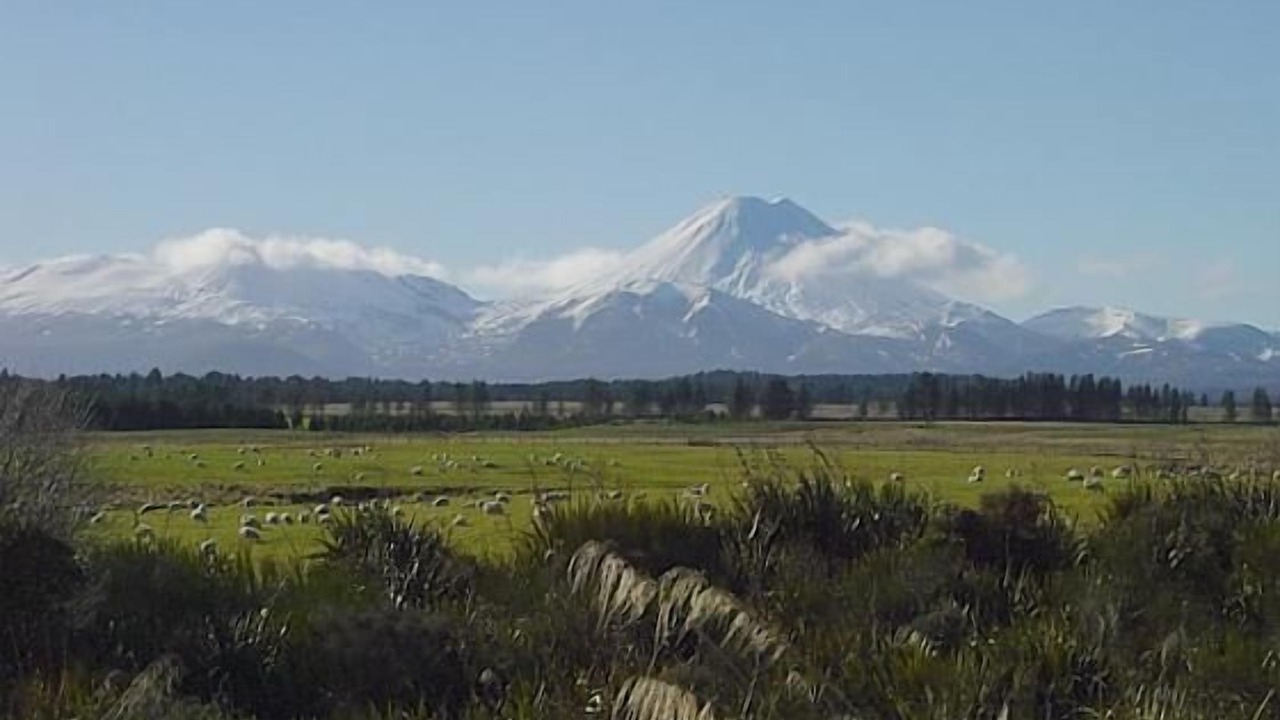Photo of Others in Raurimu