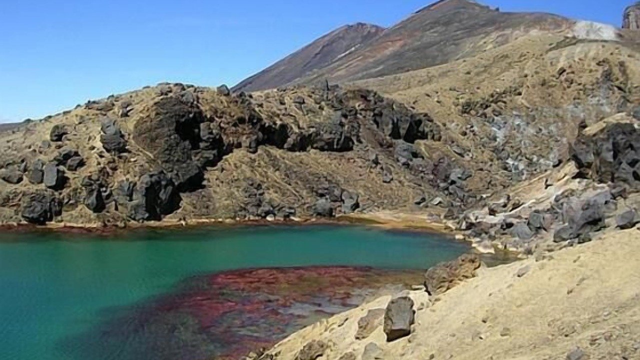 Photo of Outdoor in Raurimu