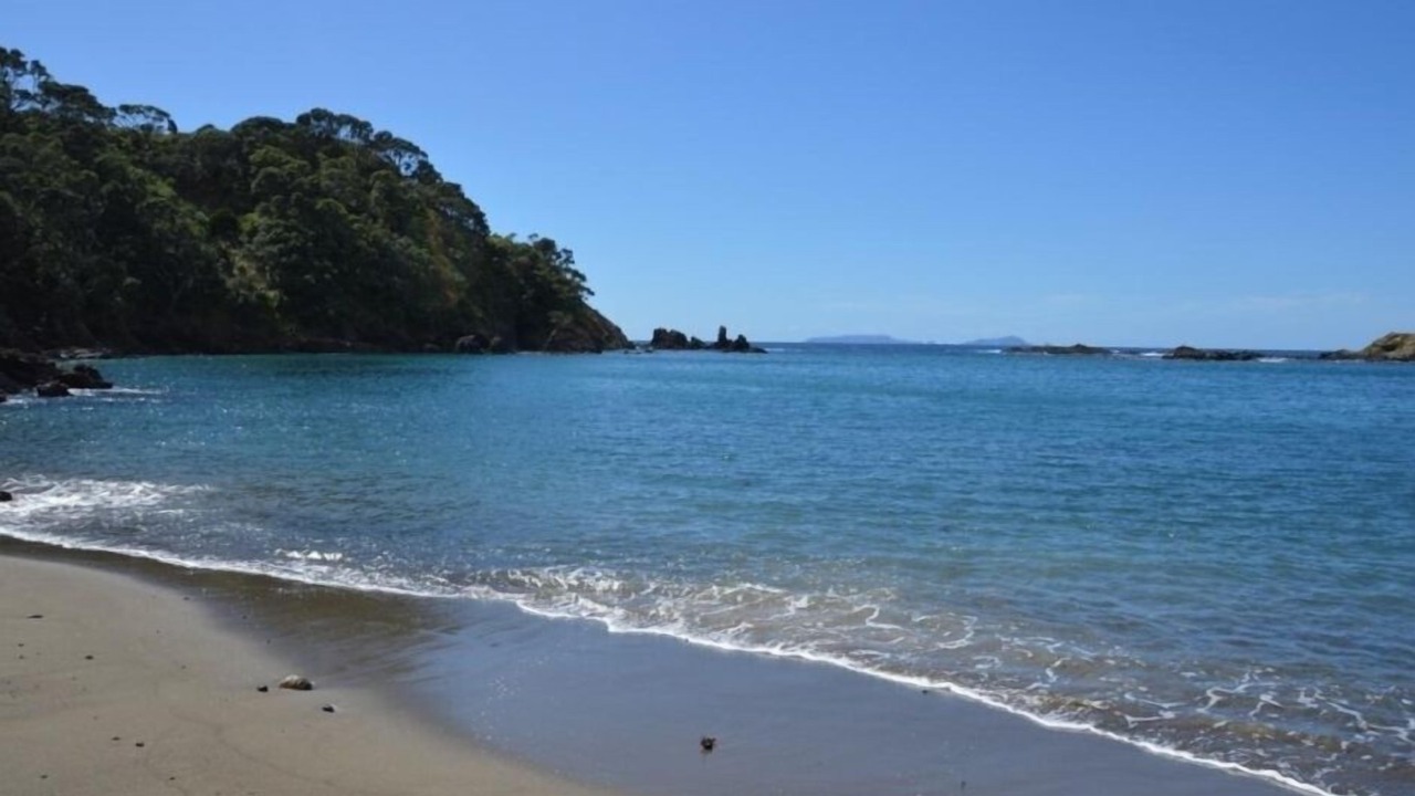 Photo of Others in Whananaki