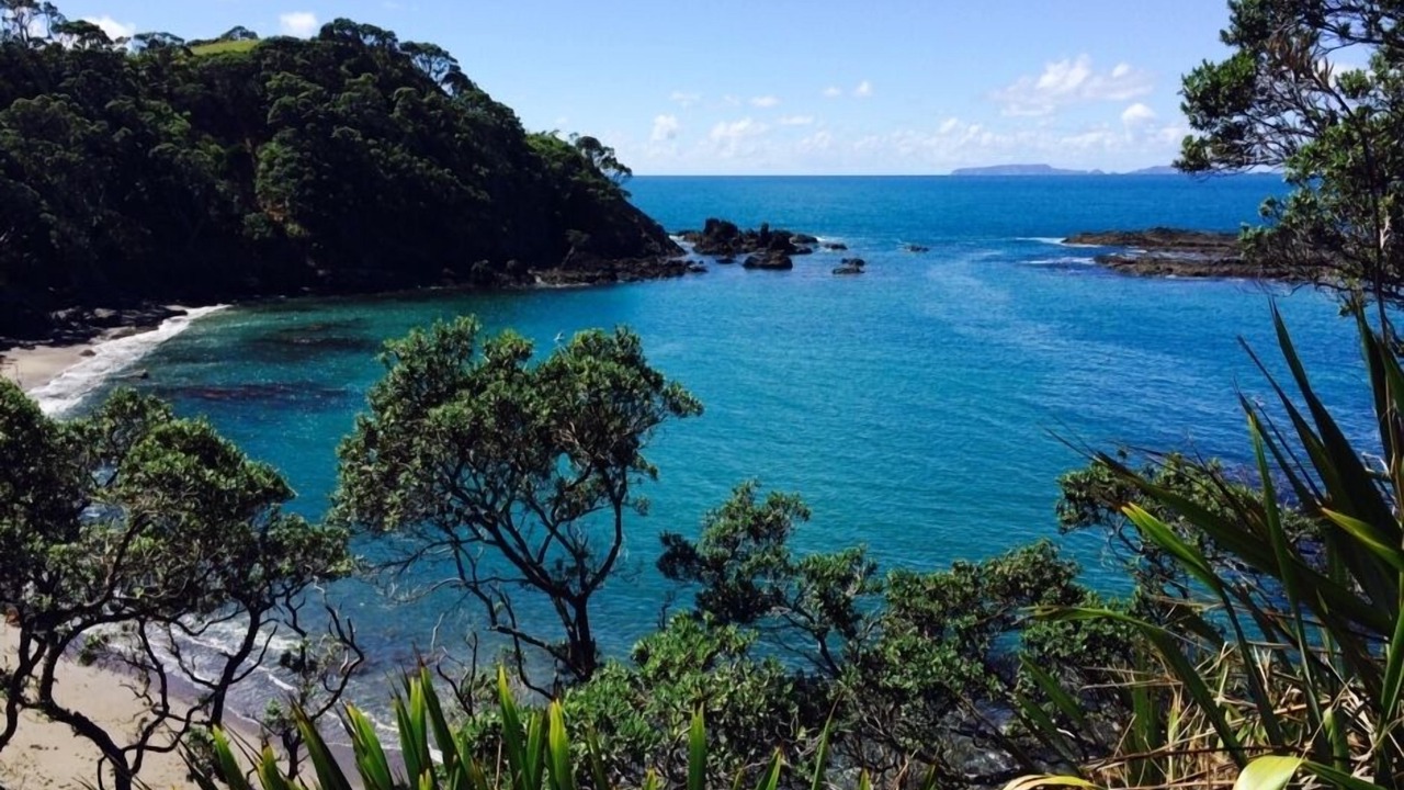 Photo of Others in Whananaki