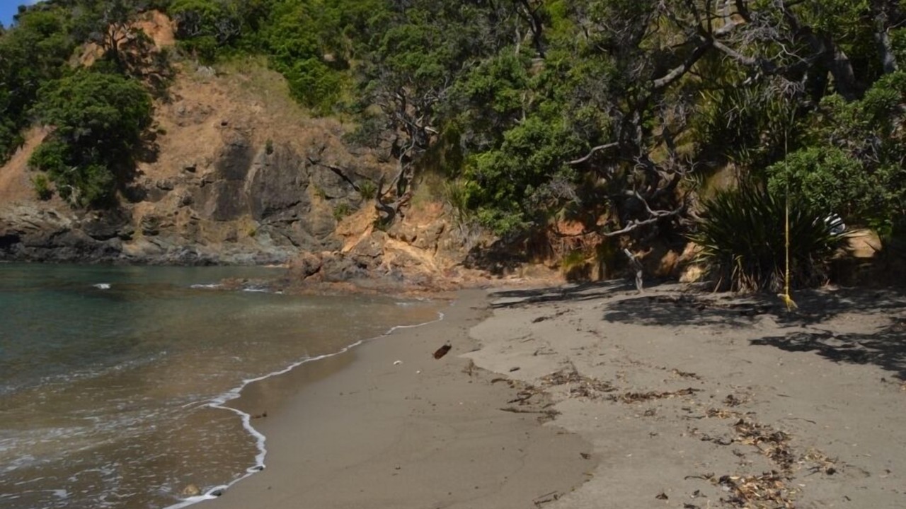 Photo of Others in Whananaki