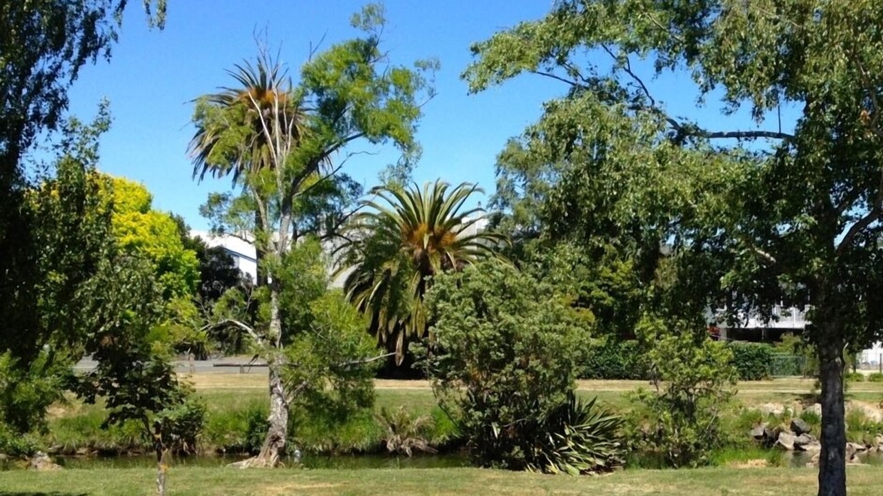 Photo of Others in Nelson