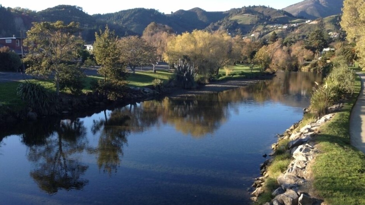 Photo of Others in Nelson
