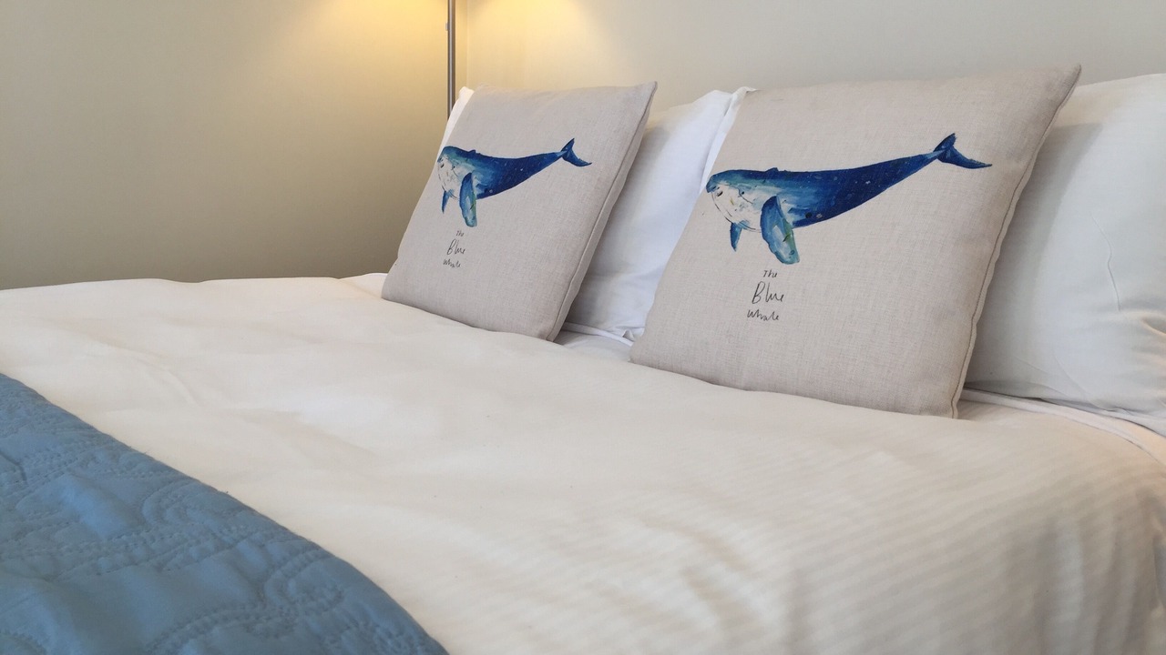Photo of Bedroom in Nelson