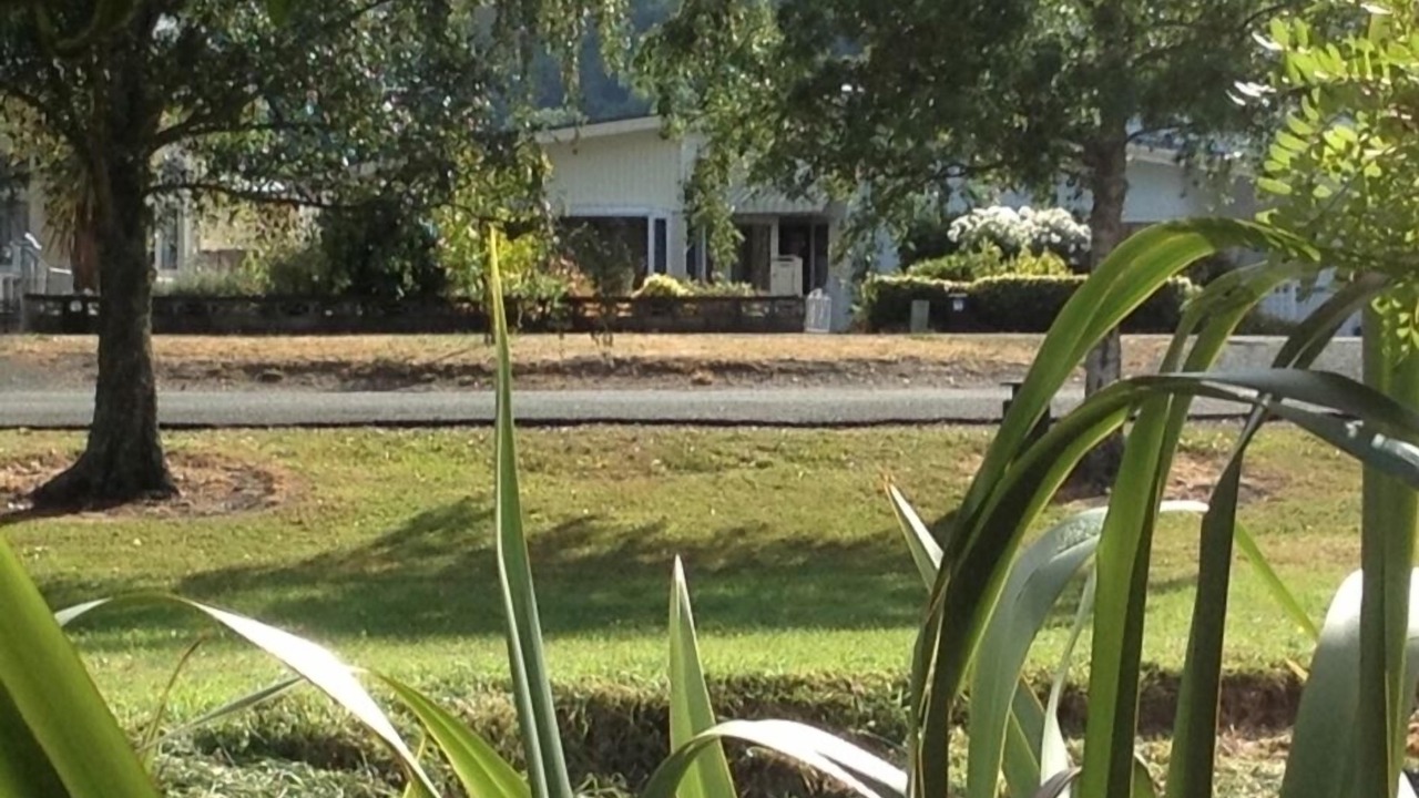 Photo of Others in Nelson
