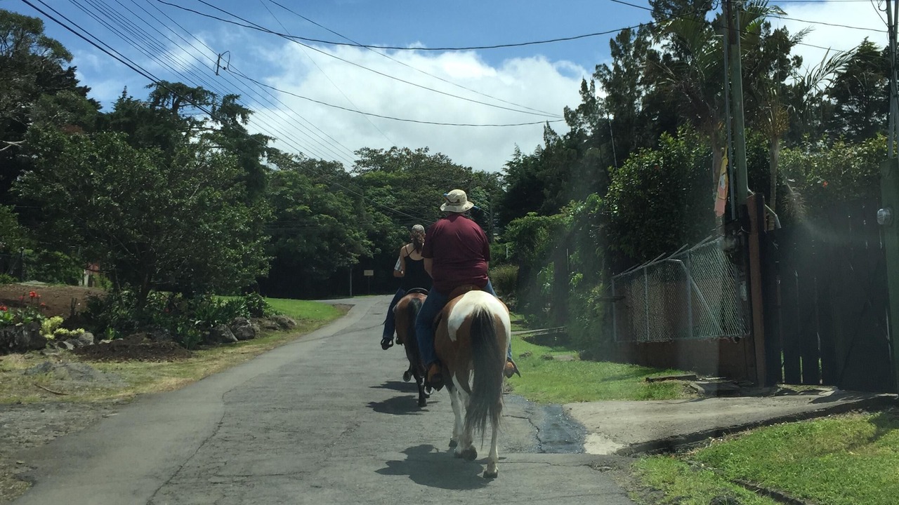 Photo of Others in San Rafael de Heredia