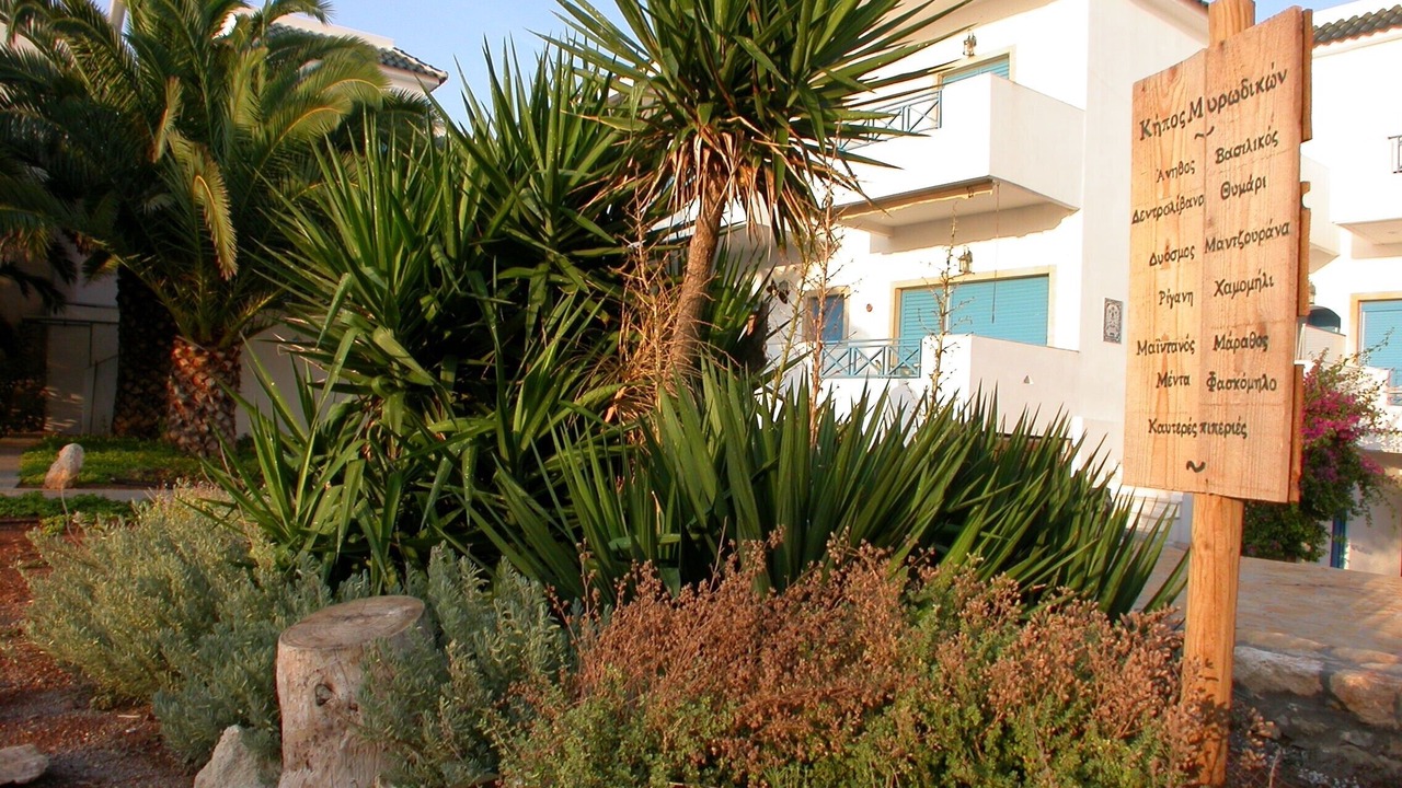Photo of Outdoor in Trifylia