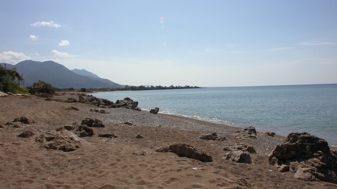 Photo of Others in Trifylia