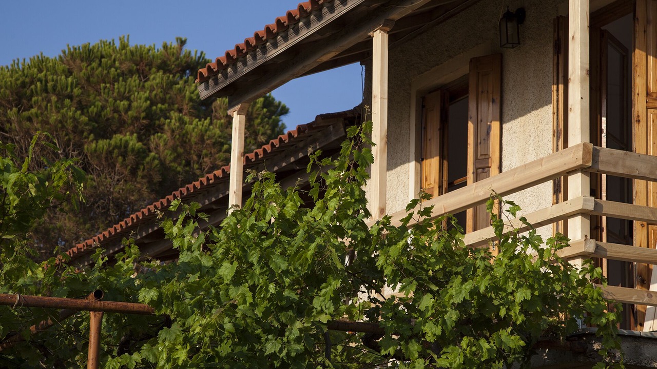 Photo of Outdoor in Kiparissia