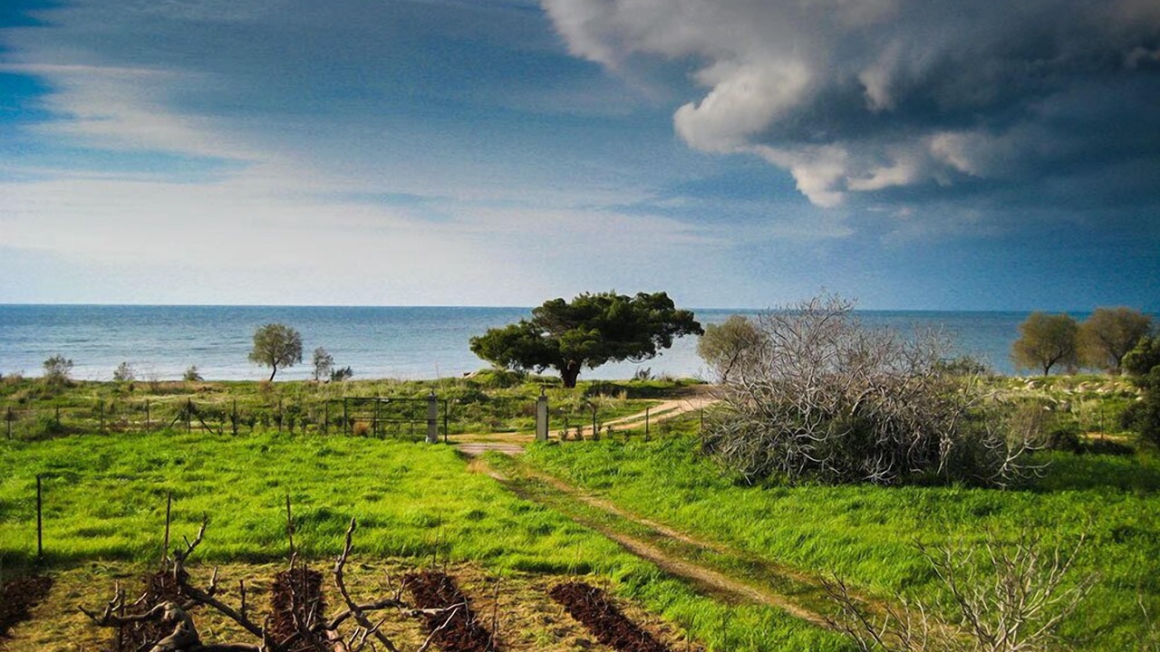 Photo of Outdoor in Kiparissia
