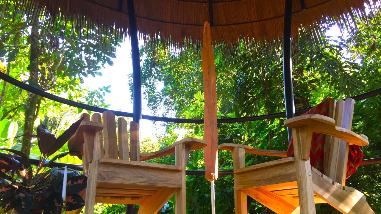 Photo of Others in Puerto Viejo de Talamanca