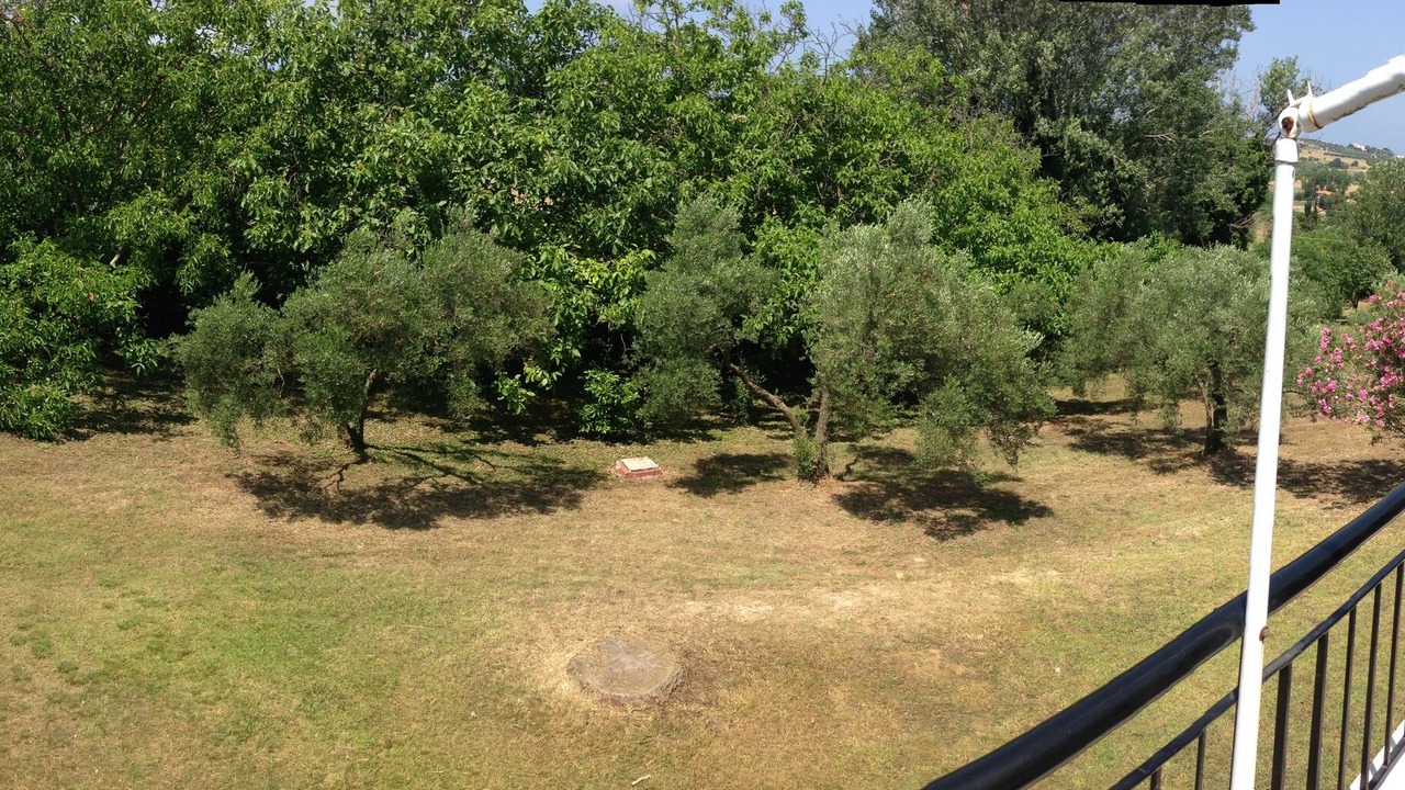 Photo of Outdoor in Kassandra